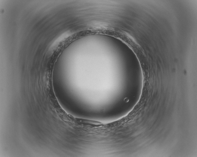 X0000062141016200512091209