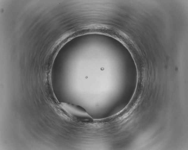 X0000062141017200512091209