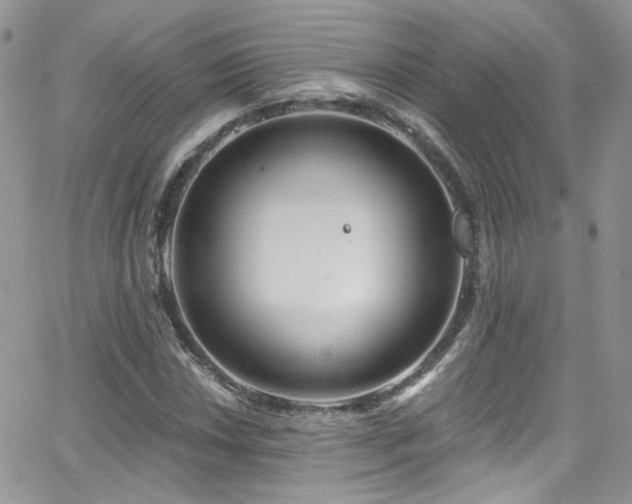 X0000062141018200512091210