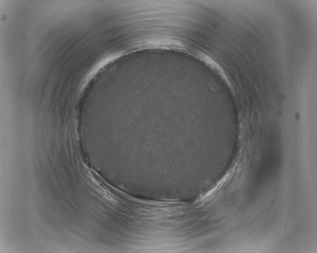 X0000062141019200512091210