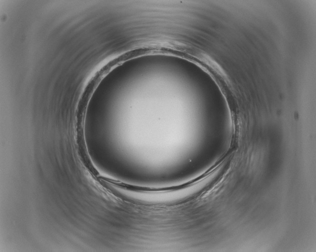 X0000062141020200512091210