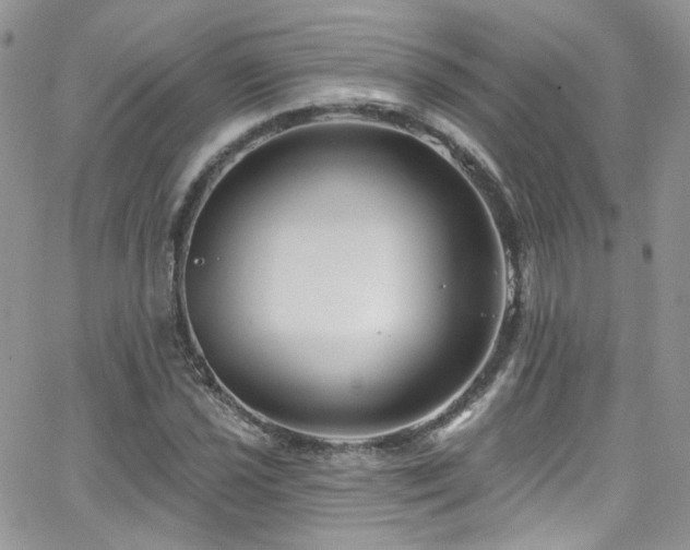 X0000062141021200512091210