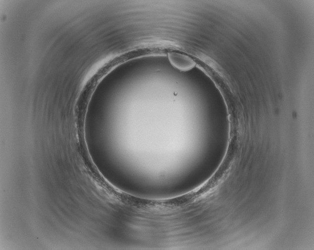 X0000062141022200512091210