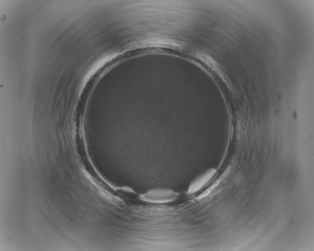 X0000062141024200512091210