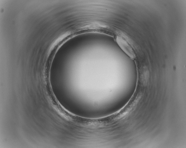 X0000062141026200512091210