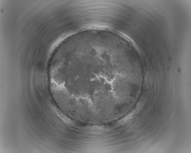 X0000062141027200512091210