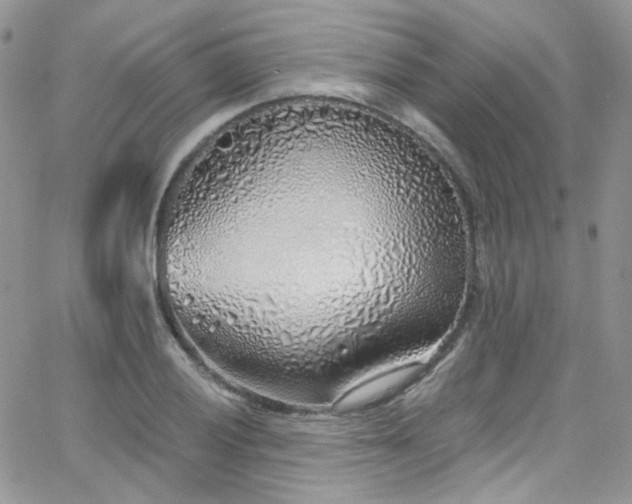 X0000062141028200512091210