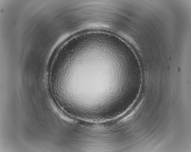 X0000062141029200512091210