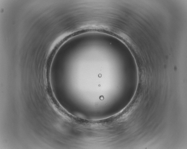 X0000062141030200512091210