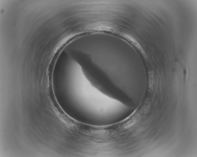 X0000062141031200512091210