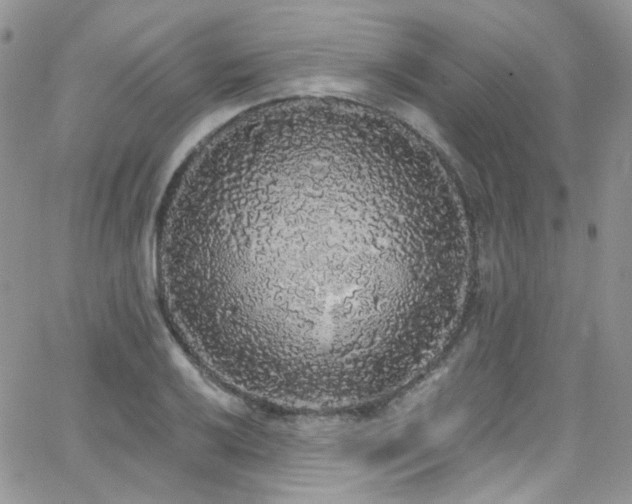 X0000062141032200512091210