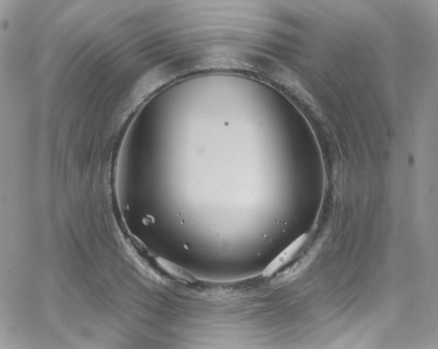 X0000062141033200512091210