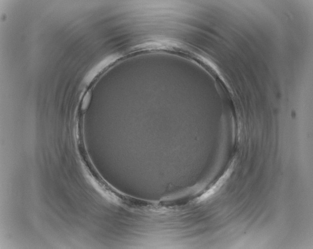 X0000062141034200512091210