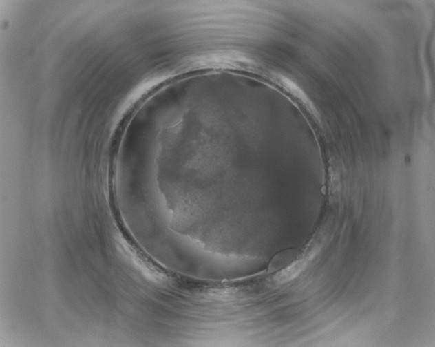 X0000062141035200512091210