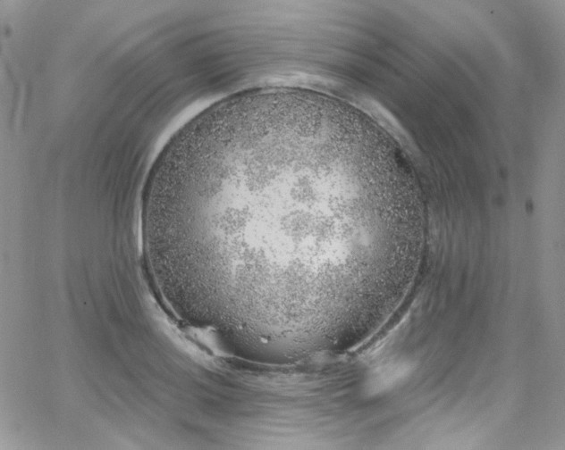 X0000062141036200512091210