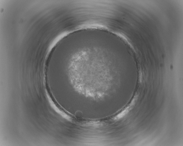 X0000062141038200512091210