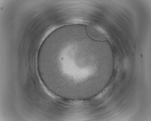 X0000062141039200512091210