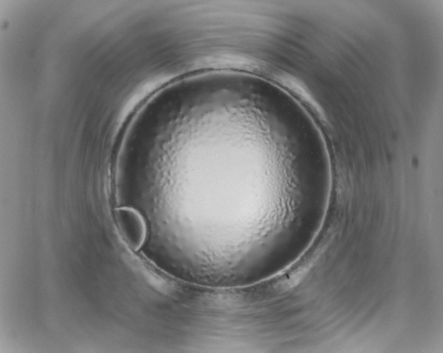 X0000062141040200512091210