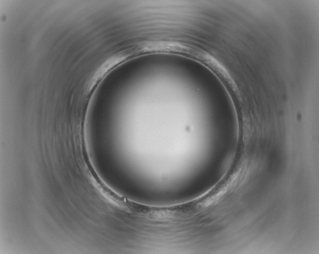 X0000062141041200512091210