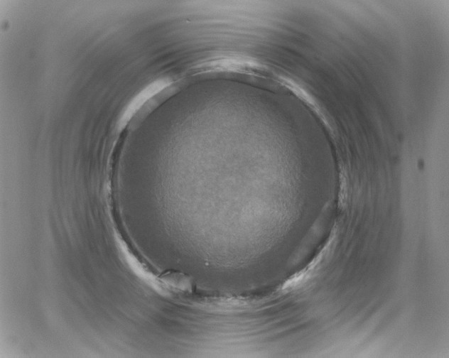 X0000062141042200512091210