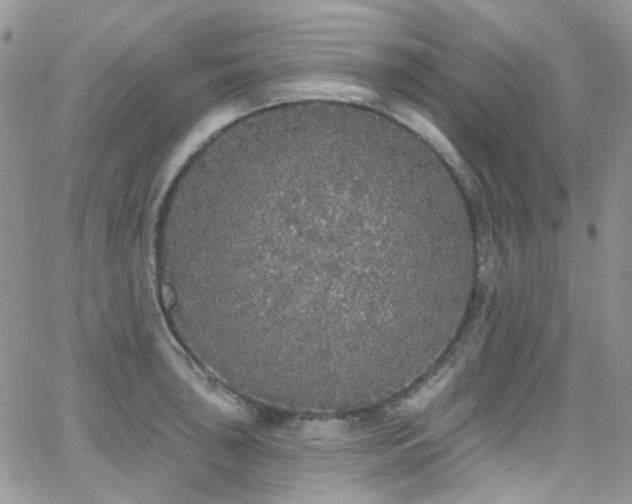 X0000062141043200512091210