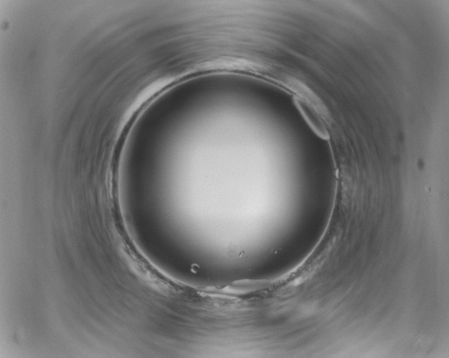 X0000062141044200512091210