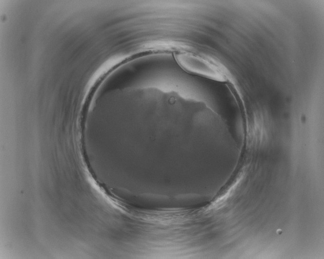 X0000062141045200512091210