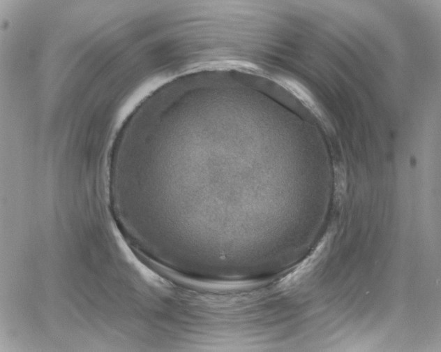 X0000062141046200512091210