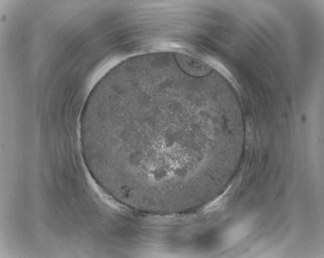 X0000062141047200512091210