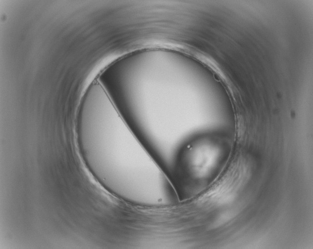 X0000062141048200512091210