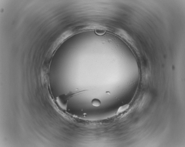 X0000062141049200512091210