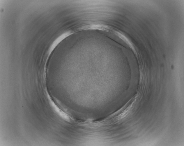 X0000062141050200512091210