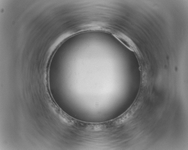 X0000062141051200512091210