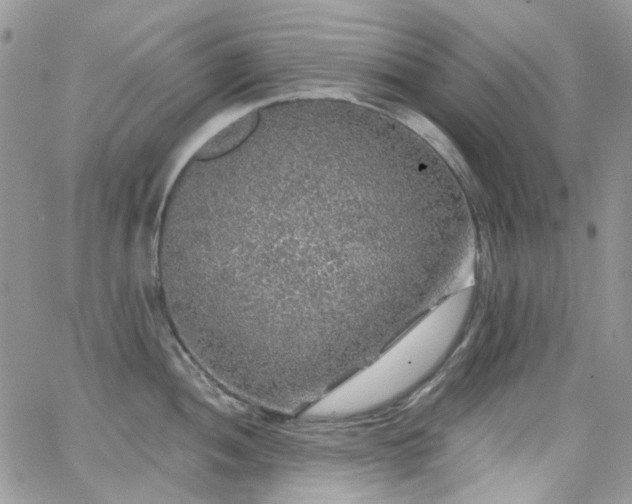 X0000062141052200512091210