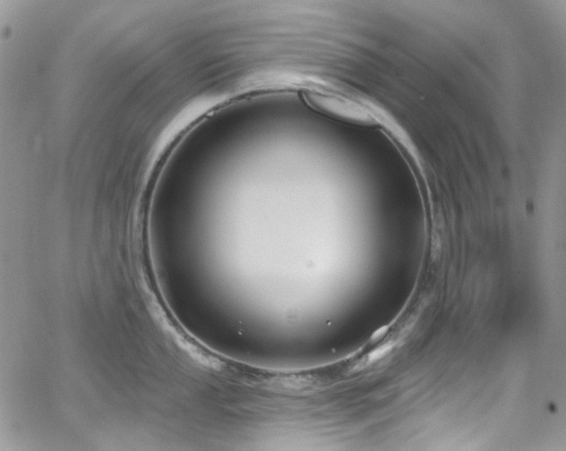 X0000062141053200512091210