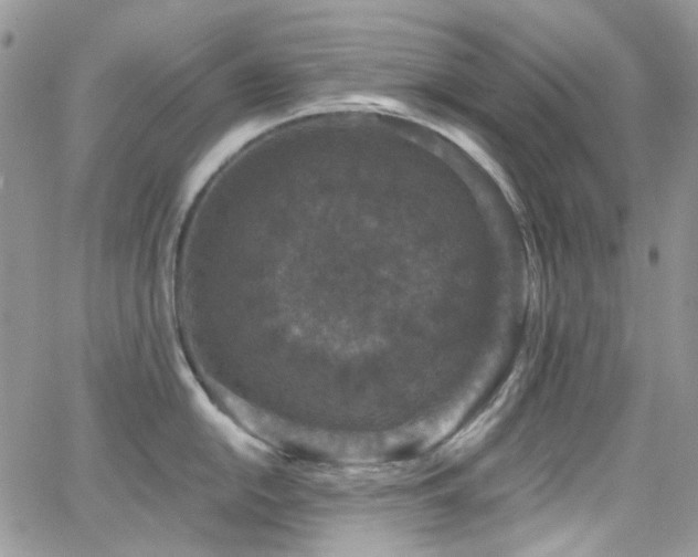 X0000062141054200512091210