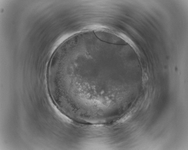 X0000062141055200512091210