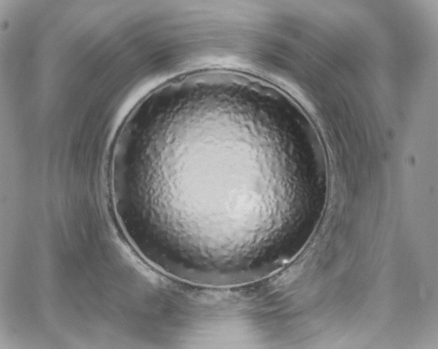 X0000062141056200512091210