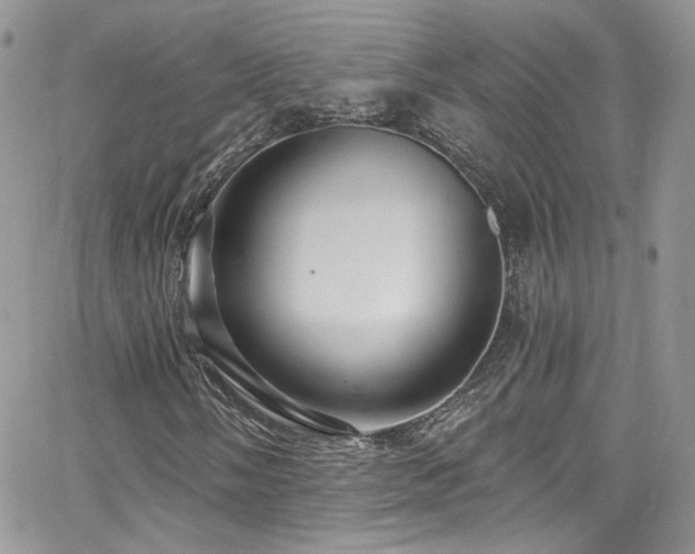 X0000062141058200512091209