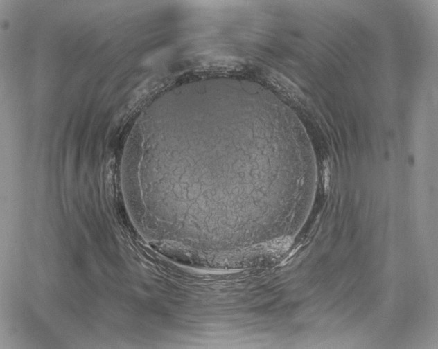 X0000062141059200512091209