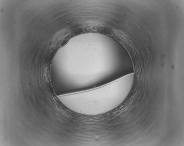 X0000062141060200512091209