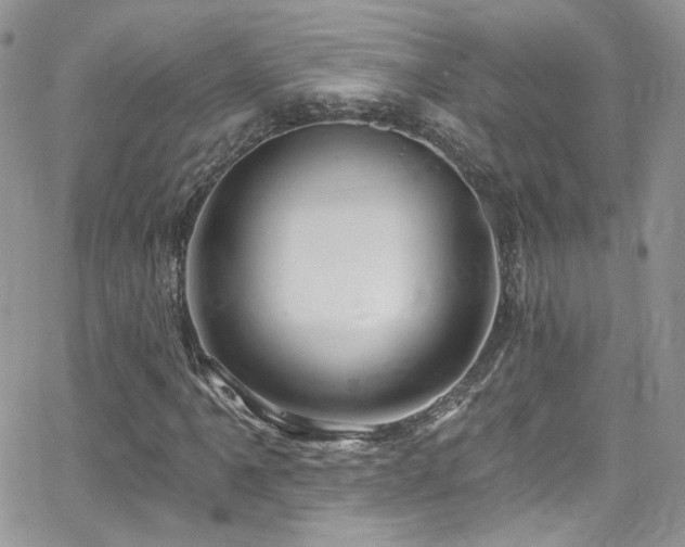 X0000062141061200512091209