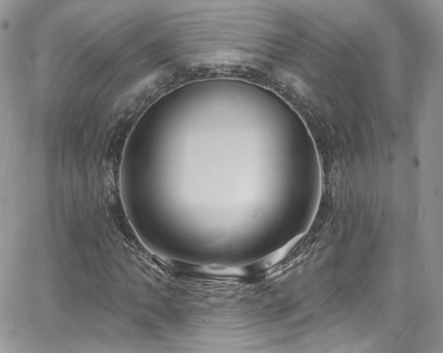 X0000062141062200512091209