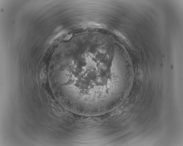 X0000062141063200512091209