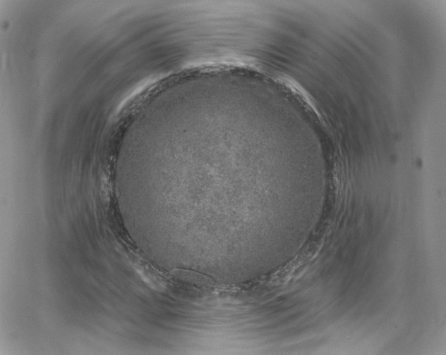 X0000062141064200512091209