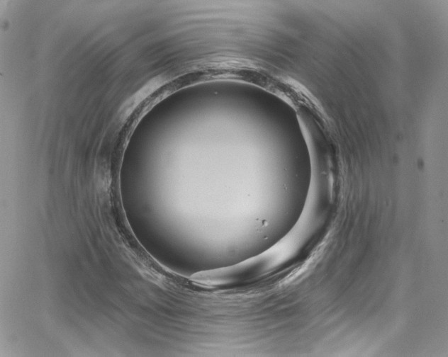 X0000062141065200512091209