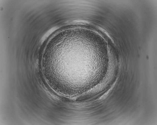 X0000062141066200512091209