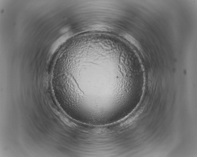 X0000062141067200512091209