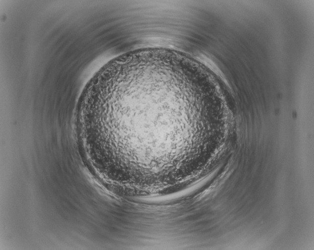 X0000062141068200512091209