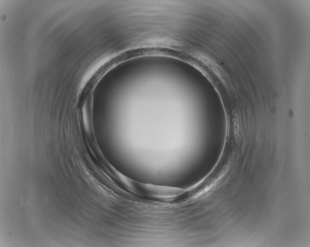 X0000062141069200512091209